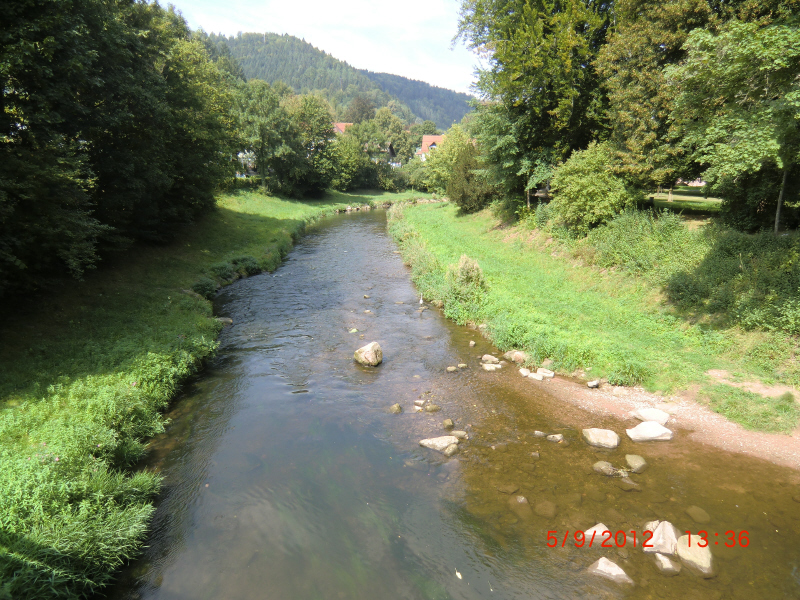 0010+Calw-Bad Liebenzell+die Nagold
