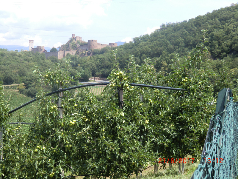 Eppan+0174+Schloss Sigmundskron