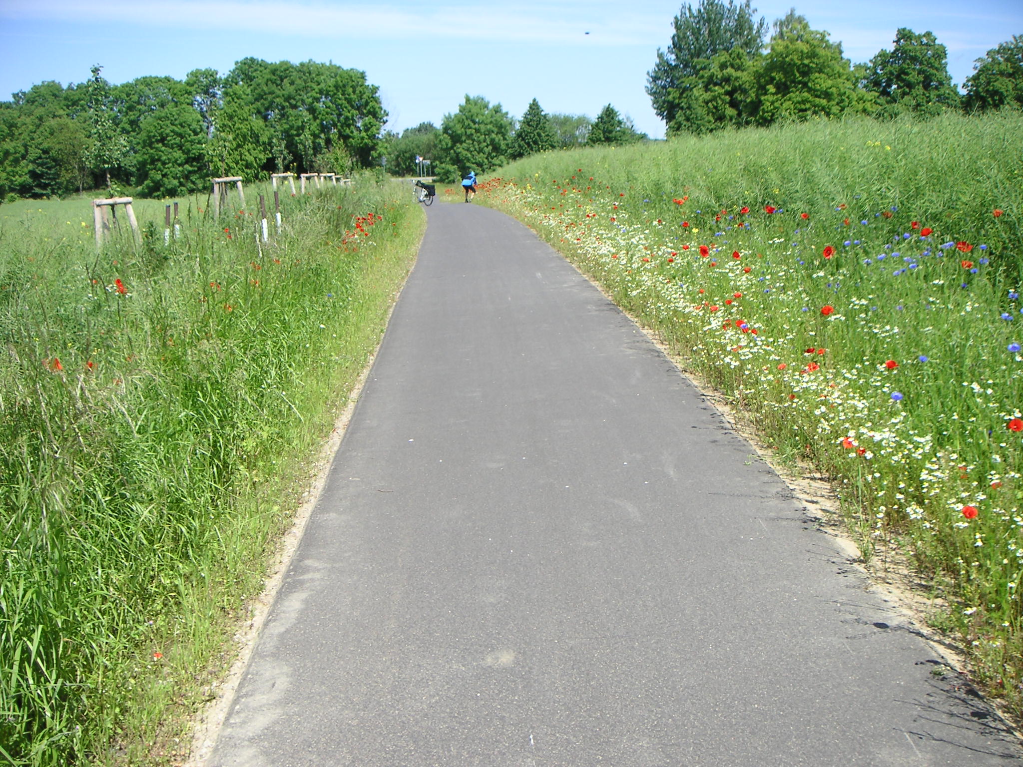 HL-Rgen+0192+Radweg Rgen
